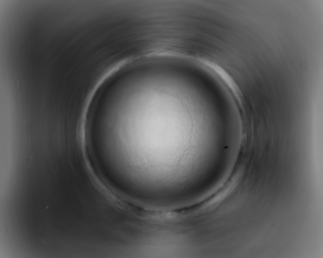 X0000093140957200710031407