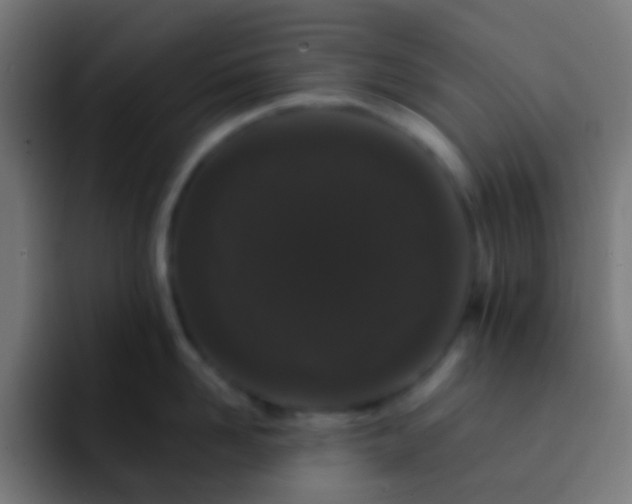 X0000093140958200710031407