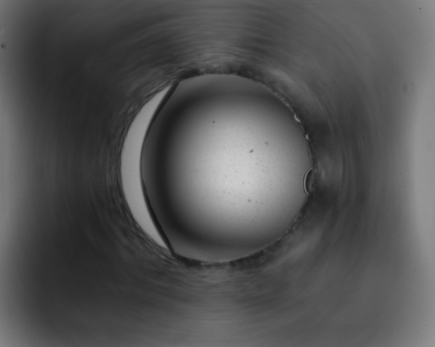 X0000093140964200710031407