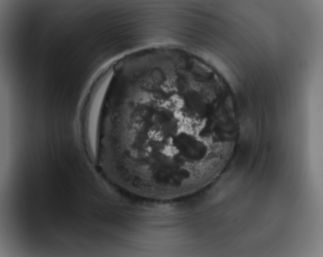 X0000093140975200710031407