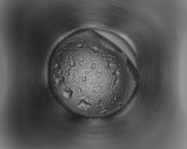 X0000093140983200710031407