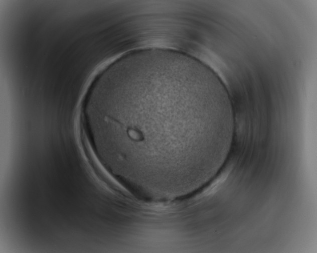 X0000093140987200710031407