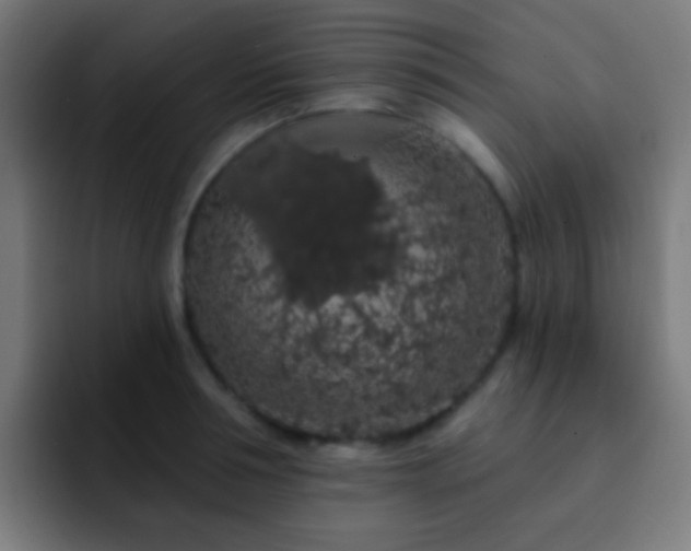 X0000093140994200710031407