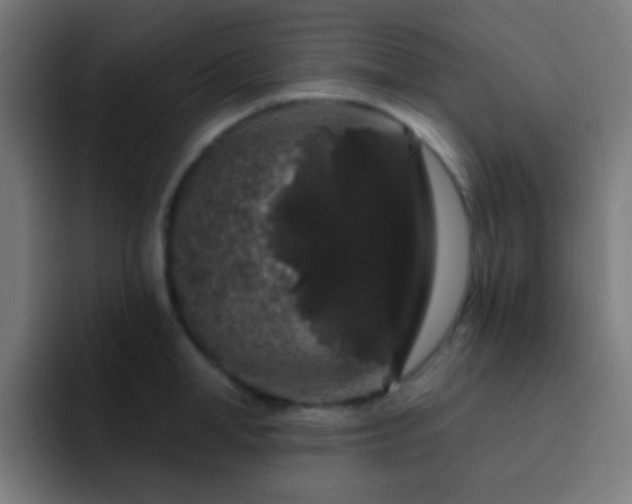 X0000093140998200710031406