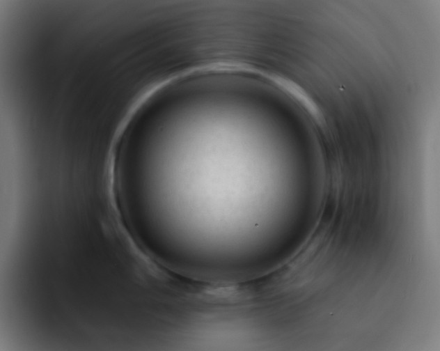 X0000093141006200710031406