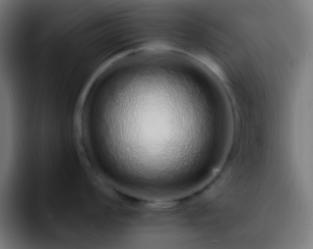 X0000093141008200710031406