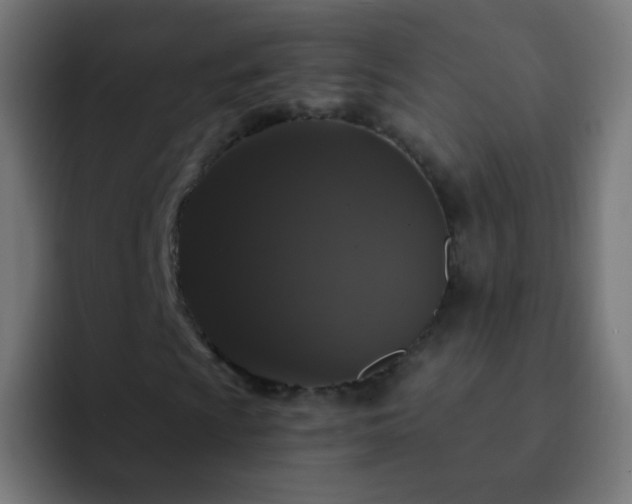 X0000093141009200710031406