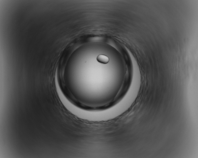 X0000093141010200710031406