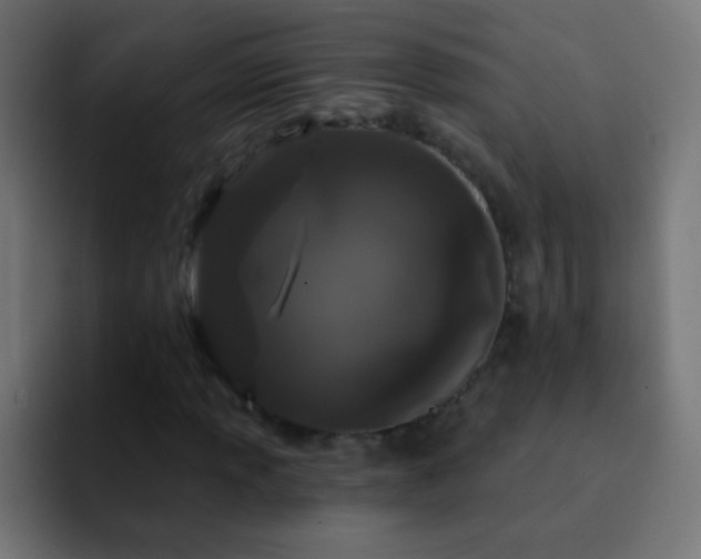 X0000093141013200710031406