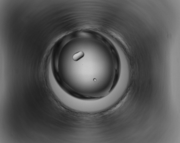 X0000093141018200710031406