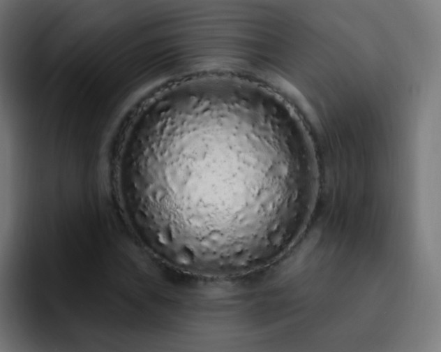 X0000093141019200710031406