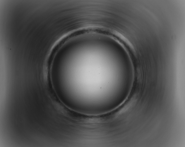 X0000093141021200710031406