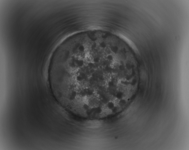 X0000093141023200710031406