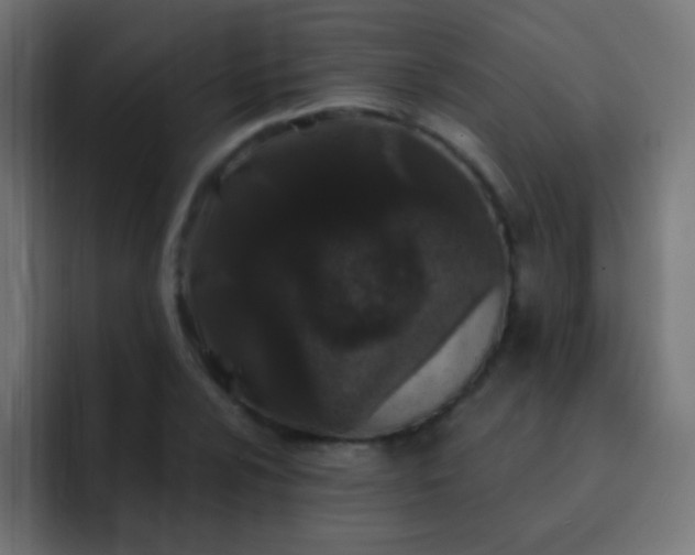 X0000093141024200710031406