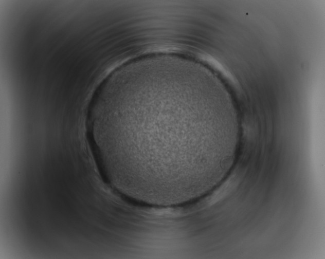 X0000093141025200710031406