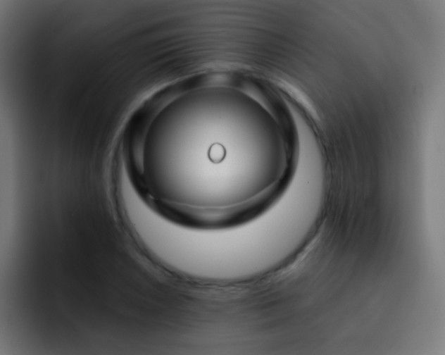 X0000093141026200710031406
