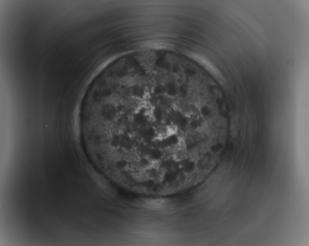 X0000093141031200710031406