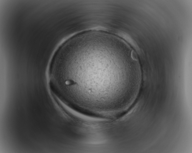 X0000093141032200710031406