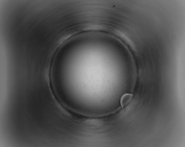 X0000093141033200710031406