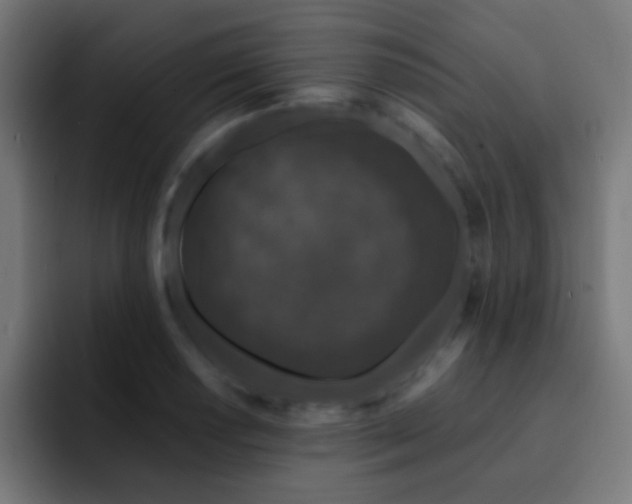 X0000093141034200710031406