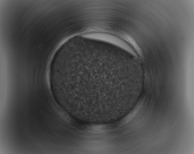 X0000093141035200710031406