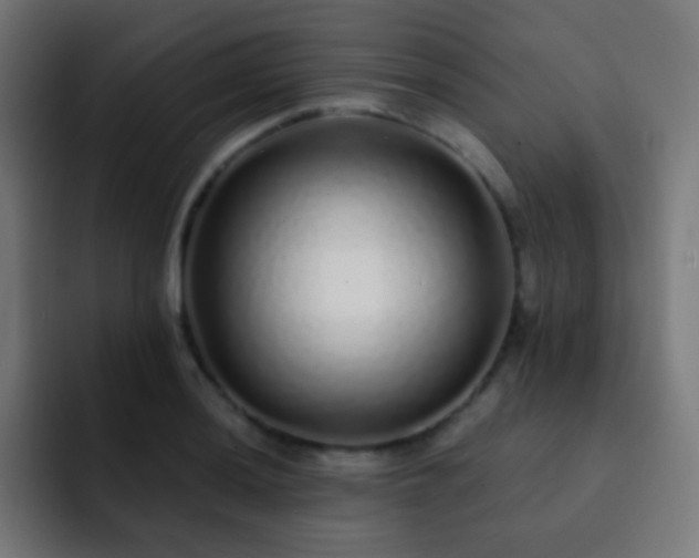 X0000093141036200710031406