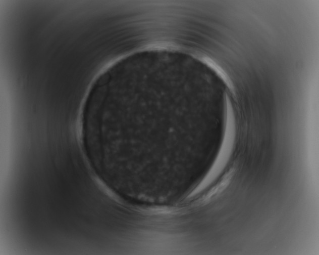 X0000093141037200710031406