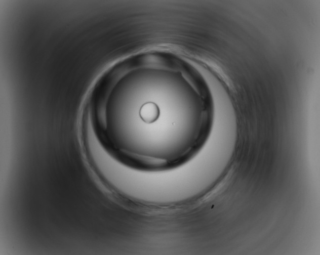 X0000093141038200710031406