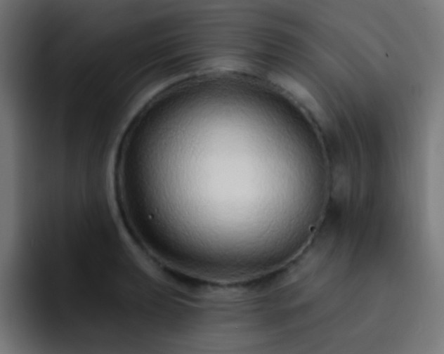 X0000093141039200710031406