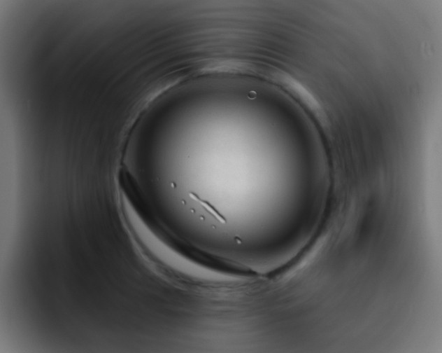 X0000093141041200710031406