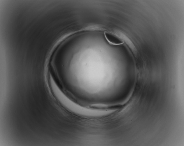 X0000093141043200710031406