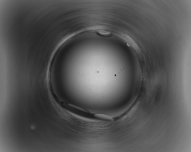 X0000093141044200710031406