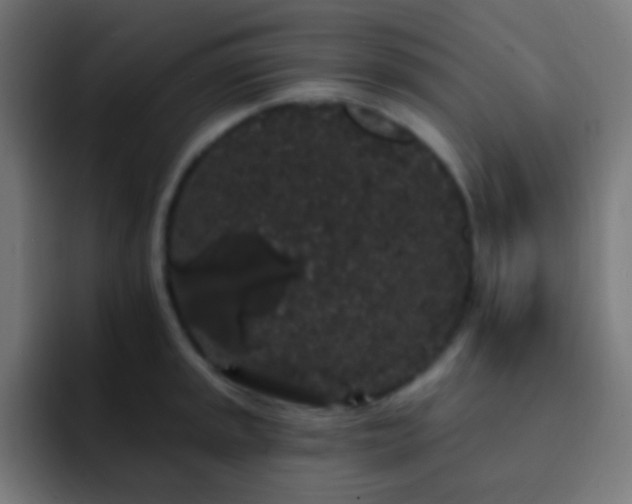 X0000093141045200710031406