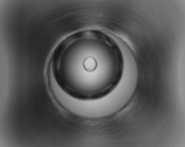 X0000093141046200710031406