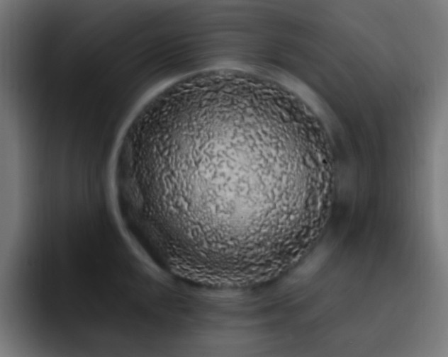 X0000093141048200710031406