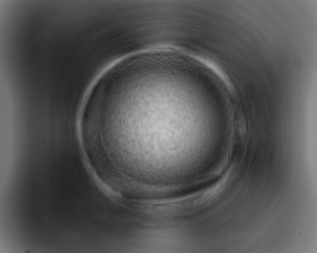 X0000093141054200710031406