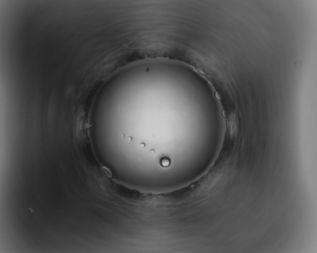 X0000093141059200710031406