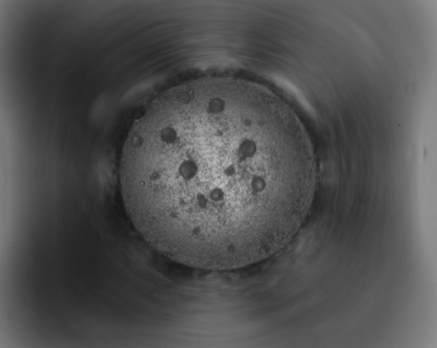 X0000093141063200710031406