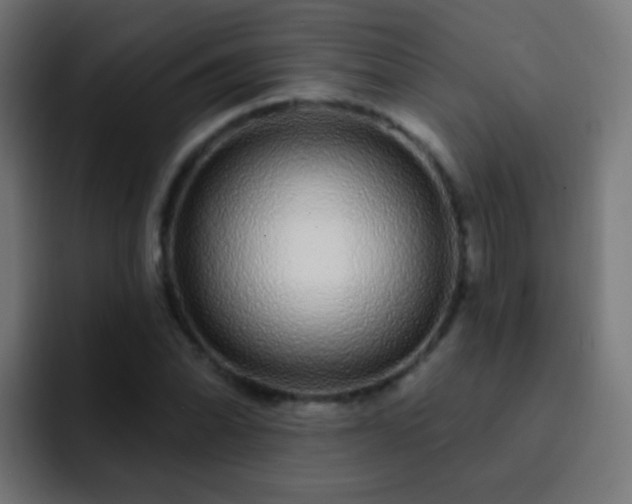 X0000093141070200710031406