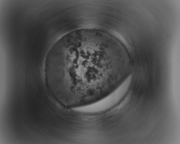 X0000093141071200710031406