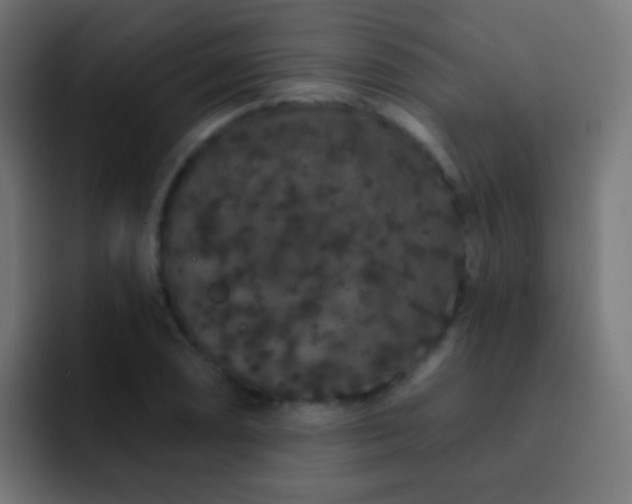 X0000093141074200710031406
