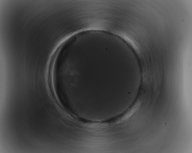 X0000093141077200710031406