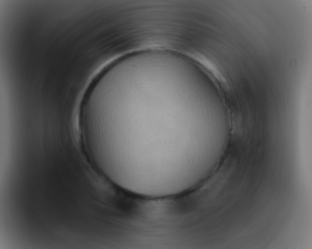 X0000093141078200710031406
