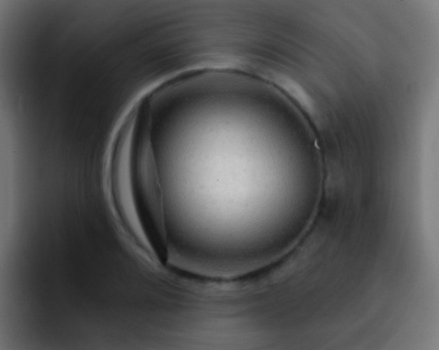 X0000093141080200710031406
