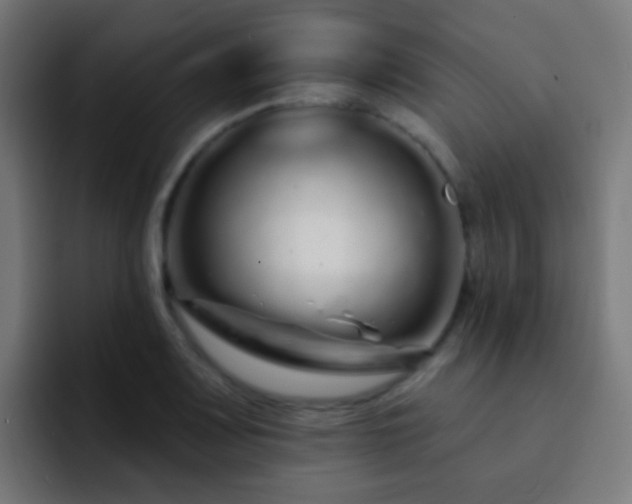 X0000093141083200710031405