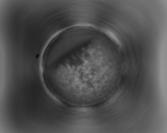 X0000093141084200710031405