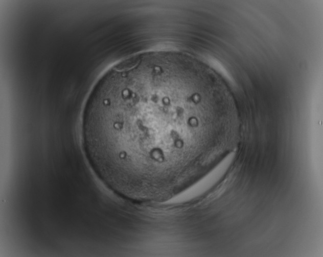 X0000093141087200710031405