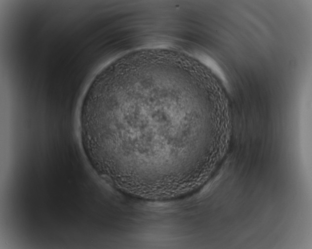 X0000093141088200710031405
