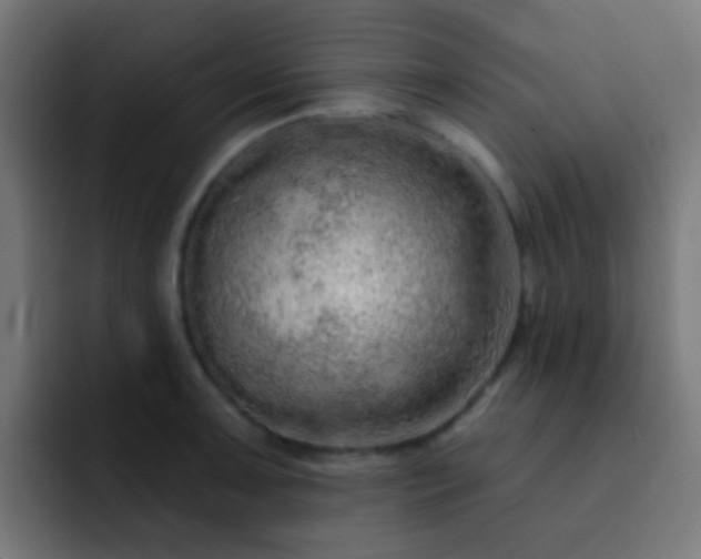 X0000093141091200710031405