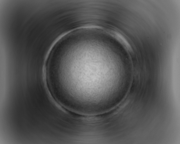 X0000093141092200710031405